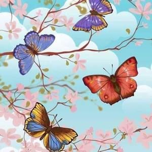 Meet your Posher, Maria palma